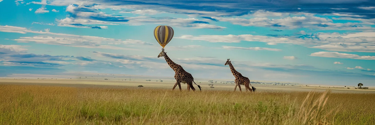 tanzania-wild-sky-esqhSWDzOWk-unsplash 1.webp